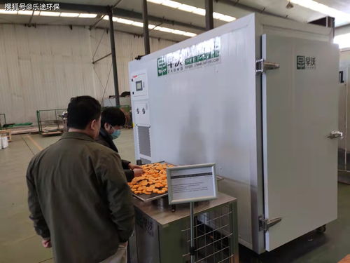 箱式食品烘干與柿子烘干設備 異同解析及新興能源技術的融合創新