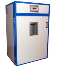 江蘇徐州宏宇特種養殖基地 蘆花雞專業供應商與新興能源技術研發的雙重探索